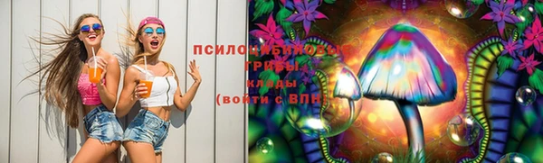 дурь Аркадак