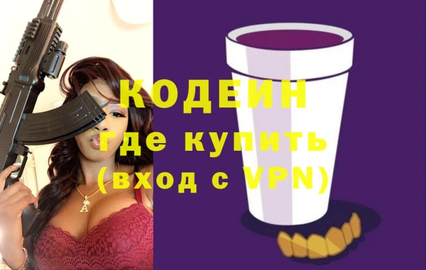 гашик Арсеньев