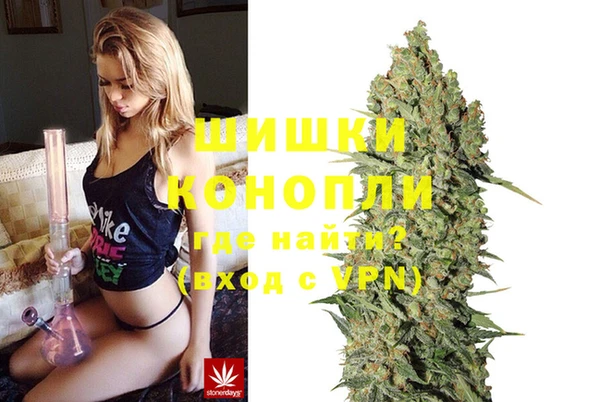 гашик Арсеньев