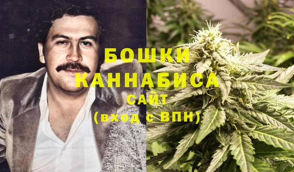 гашик Арсеньев