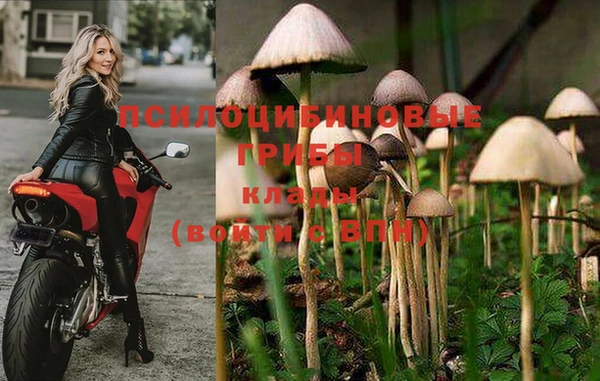 гашик Арсеньев