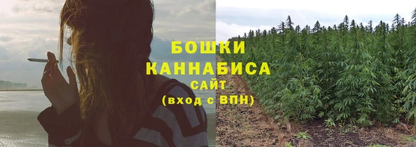дурь Аркадак