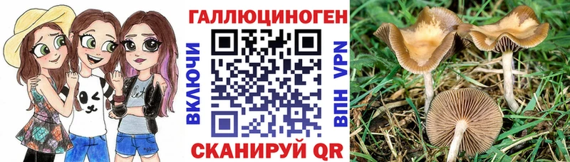 Псилоцибиновые грибы MAGIC MUSHROOMS  Мончегорск 